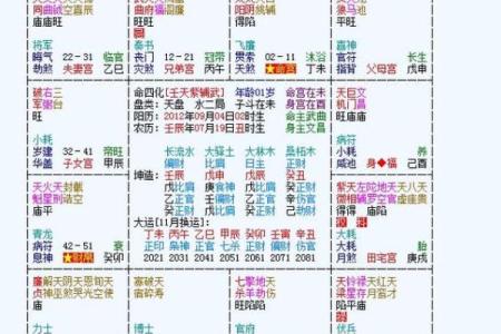 九宫格紫薇斗数盘算命怎么看