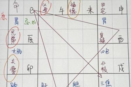 紫微斗数诸星落诸宫之：太阴星奴仆宫详解