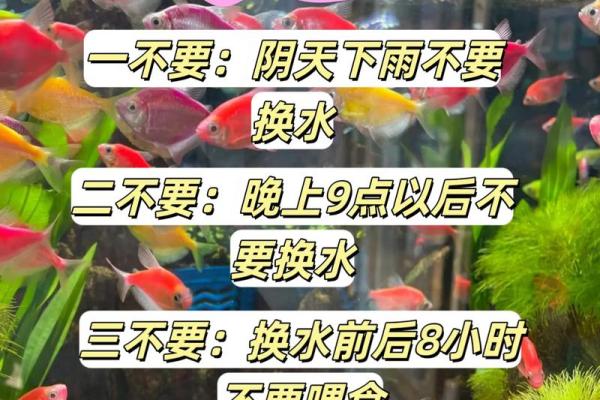 养鱼风水讲究需要注意哪些方面呢