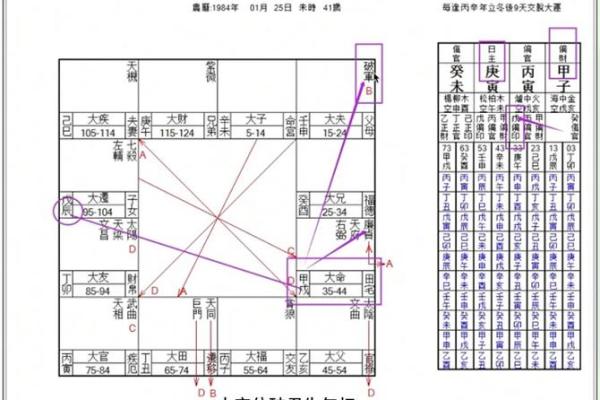 紫薇斗数盘是什么
