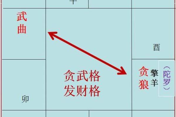 紫薇斗数财帛官陀螺