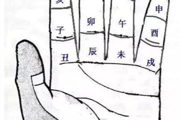 免费拍照看手相算命在线