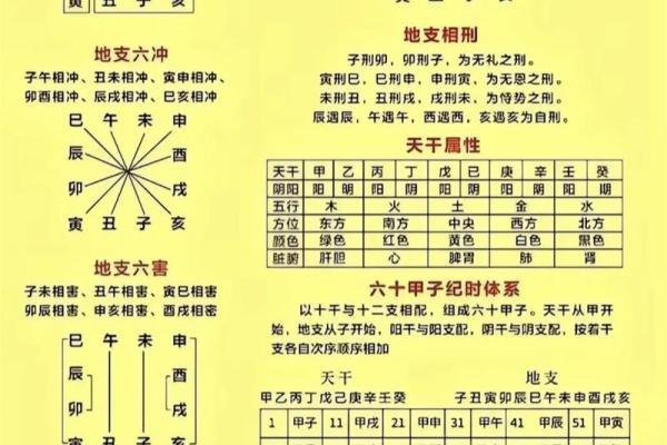 八字基础，干支阴阳差异