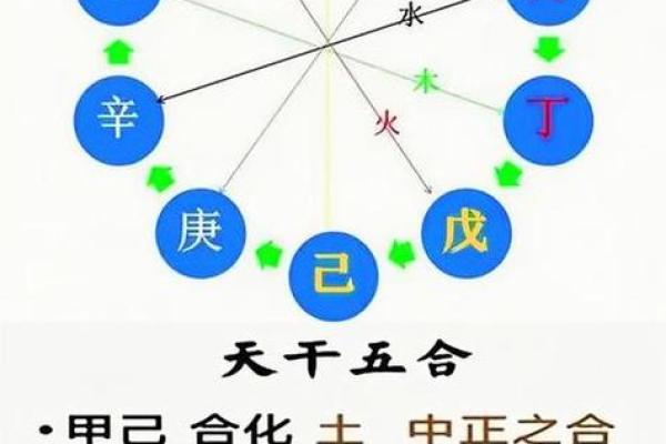 八字基础，干支阴阳差异