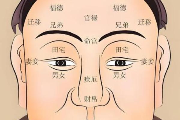 脸上胎记算命图解
