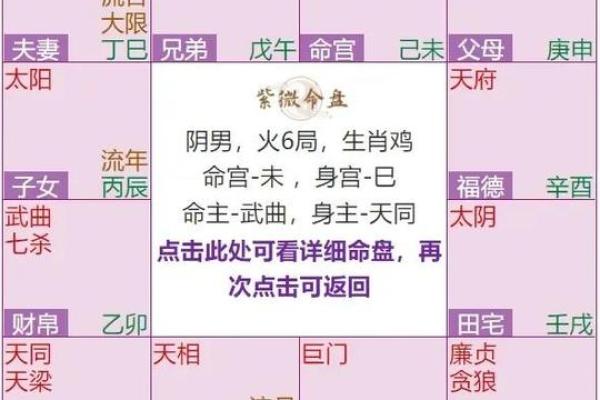 破紫薇斗数排盘