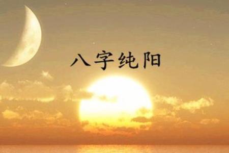八字纯阳男