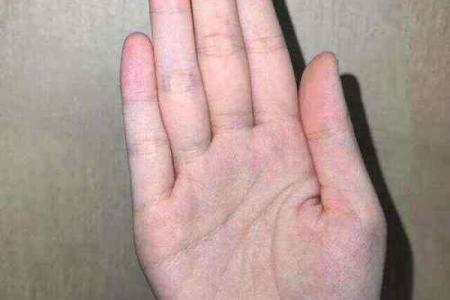 【手型算命】最基本的手型之哲学手