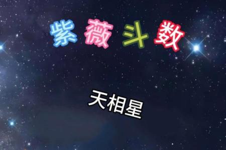 紫薇斗数寿命的星星