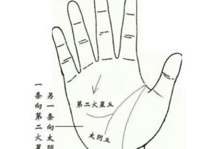图解-智慧线上有十字纹算命