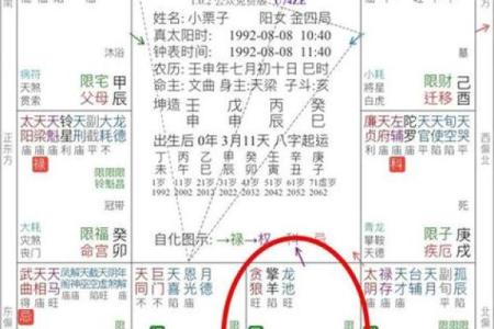 紫微斗数教你避开渣男！仅供参考！在紫微斗数中
