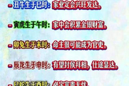 酉时八字