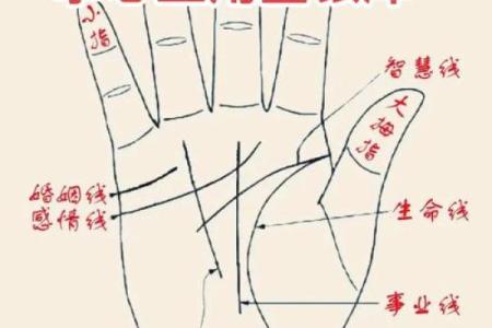 乾坤算命详解大全下载