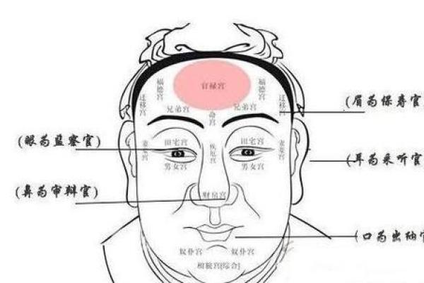 面相算命，让你分钟看透一个人