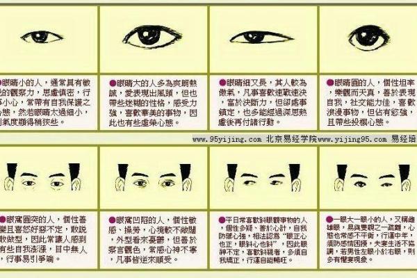 面相算命，让你分钟看透一个人