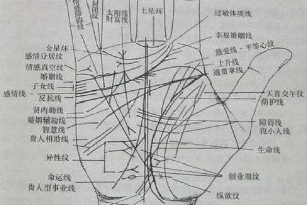 免费扫一扫看手相算命,扫一扫看手相算命