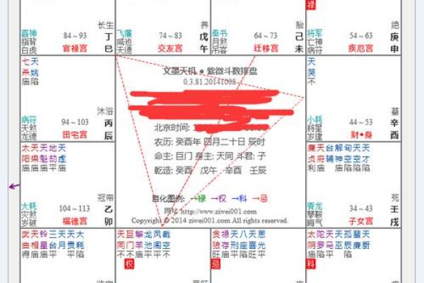 紫薇斗数看样貌