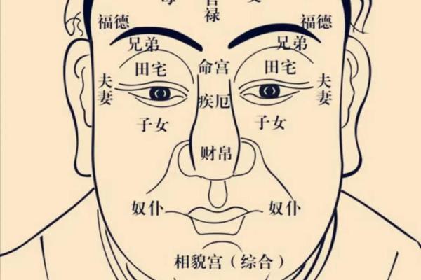 紫薇斗数武曲化科坐命辰宫