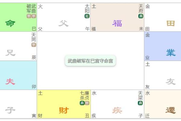 紫薇斗数武曲化科坐命辰宫