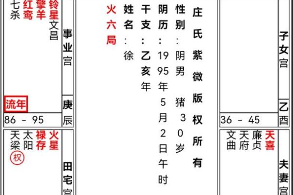 紫薇斗数宫位详解
