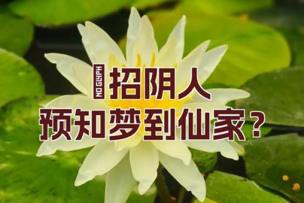 判断怎么样是身上有仙骨的预兆风水