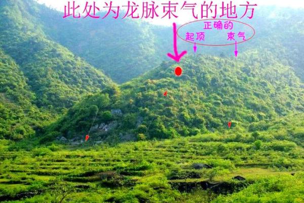 揭秘精神病与阴阳宅风水关系！