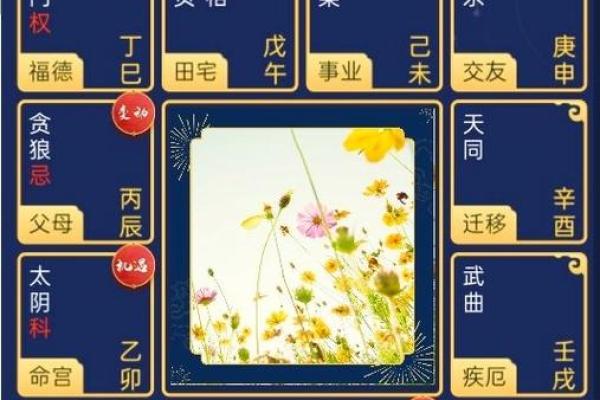 紫薇斗数看升迁