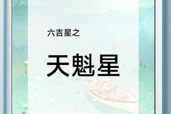 紫薇斗数命宫天魁星