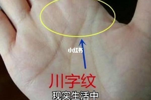 手相风水双手川字掌的女人命运如何
