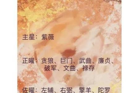 紫薇斗数应用