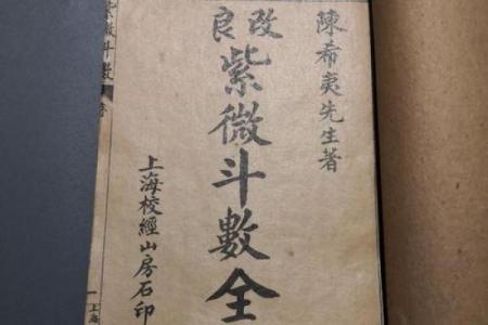 天贵星紫薇斗数