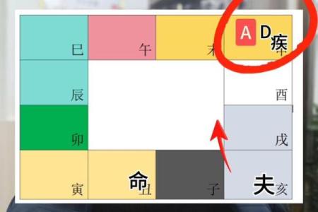 紫薇斗数禄倒