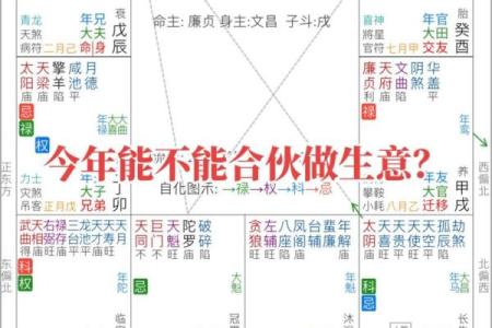 紫薇斗数详解软件