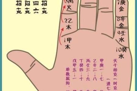 八字软什么意思