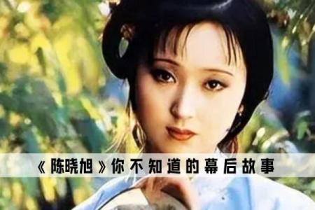陈小旭算命完整视频
