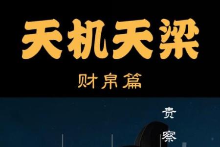 詹惟中紫薇斗数app