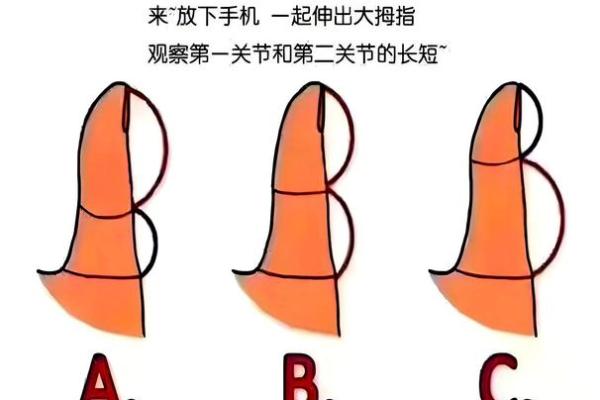 五指长短算命