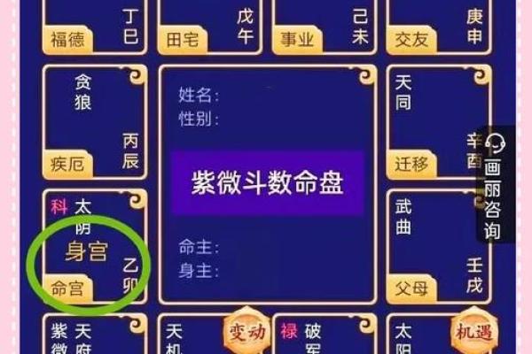 免费查紫薇星盘入宫是什么意思