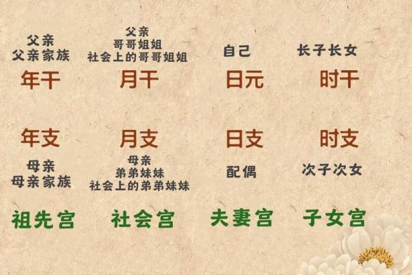 八字宫位详解信息