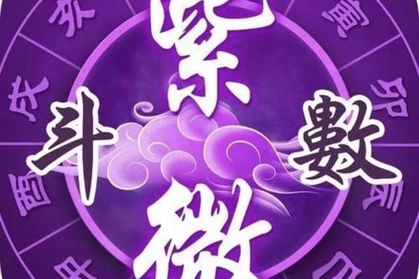 什么样的紫薇斗数贵气