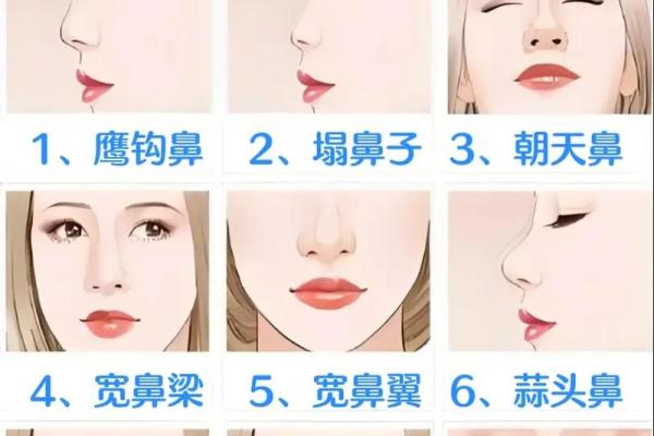 面相算命鼻子