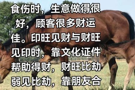 六大风水看你有没有财运