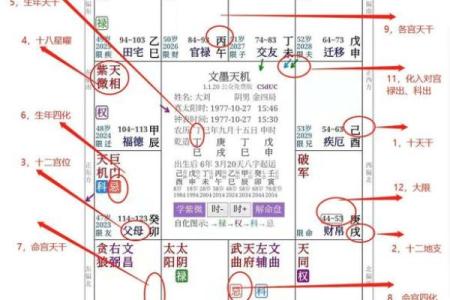 紫微斗数四化飞星在线排盘 紫薇斗数四化飞星？