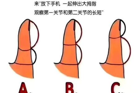 五指长短算命