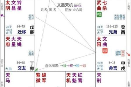 紫薇斗数紫薇独坐
