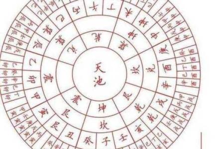 紫薇斗数的小限指的什么