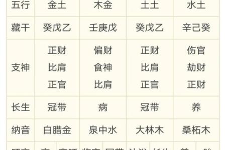 八字大运吉中带凶什么意思