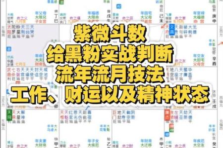 紫薇斗数嫁入豪门