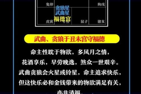 紫薇斗数大限武曲