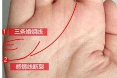 掌纹在线算命